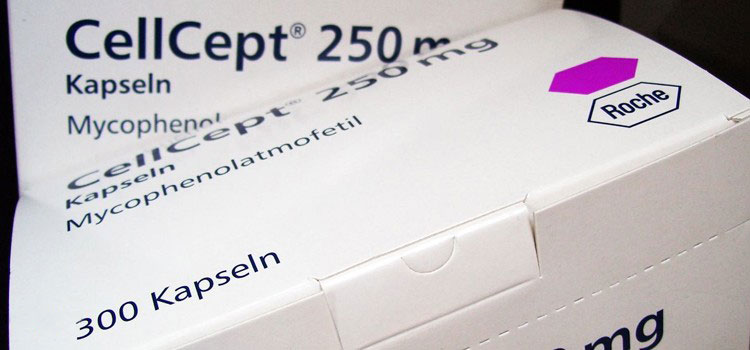 buy cellcept in Hines, OR