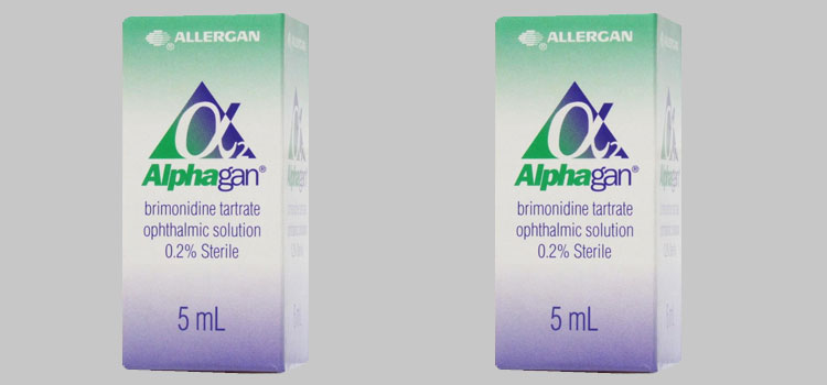 order cheaper alphagan online in Hines, OR