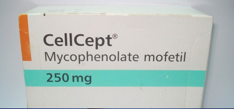 order cheaper cellcept online in Hines, OR